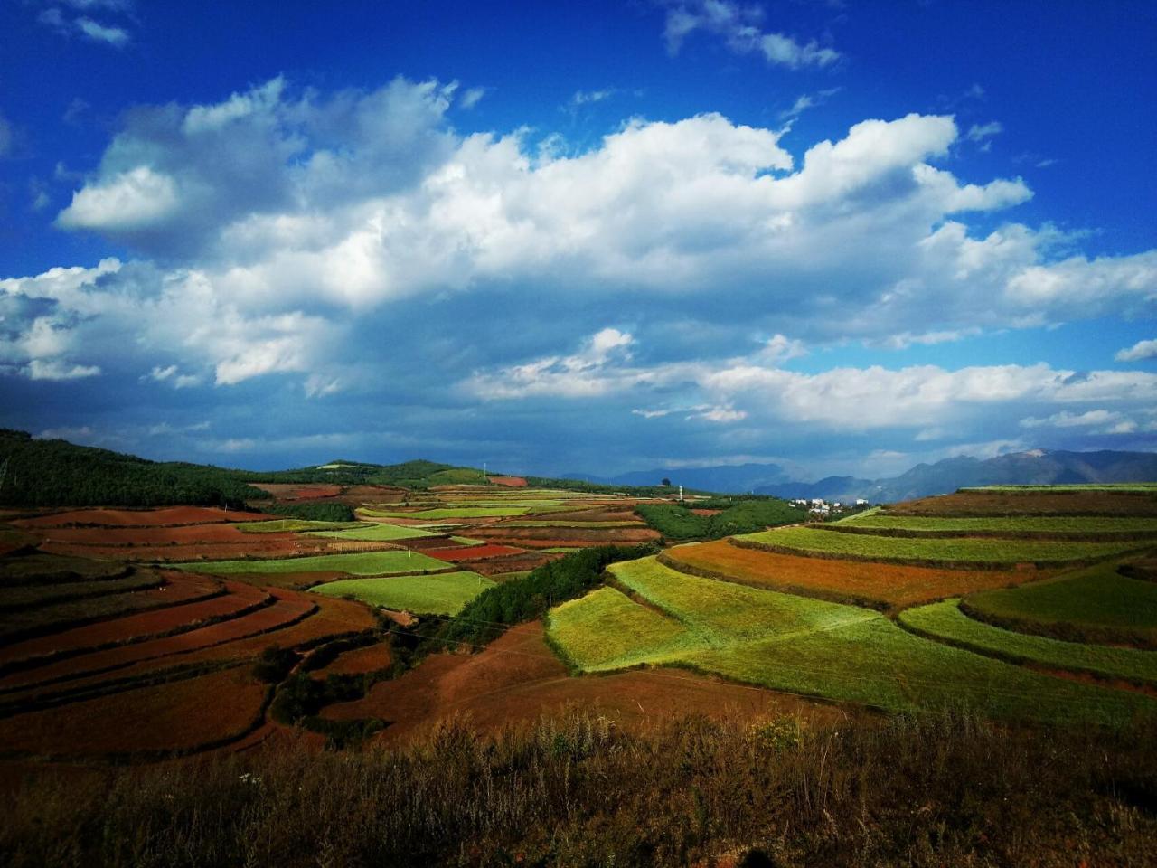 Hong Tu Qing Yuan Inn Wulong  ภายนอก รูปภาพ